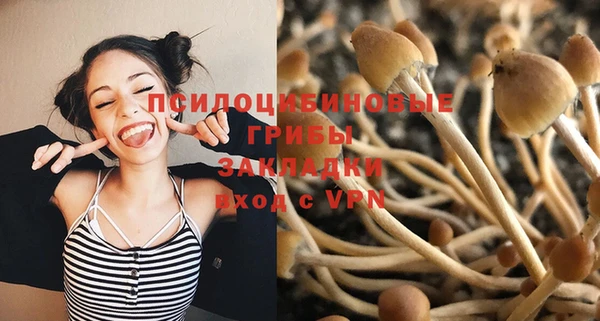 марки lsd Алексеевка