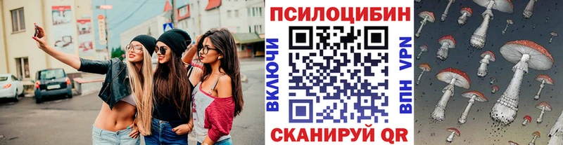 мега вход дарнет шоп Ардатов Псилоцибиновые грибы мухоморы